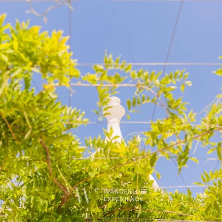 Trulli Della Madonnina By Wanderlust Experience Vila *